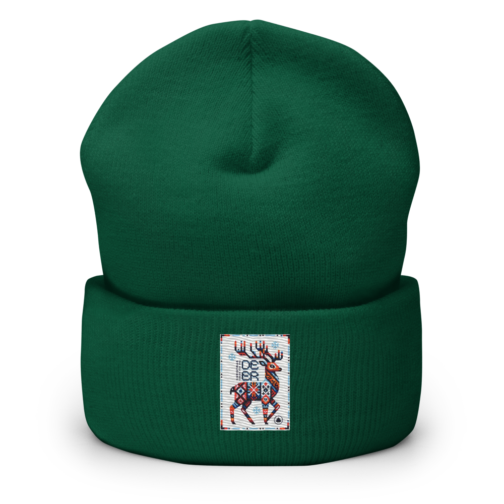 cuffed-beanie-spruce-front